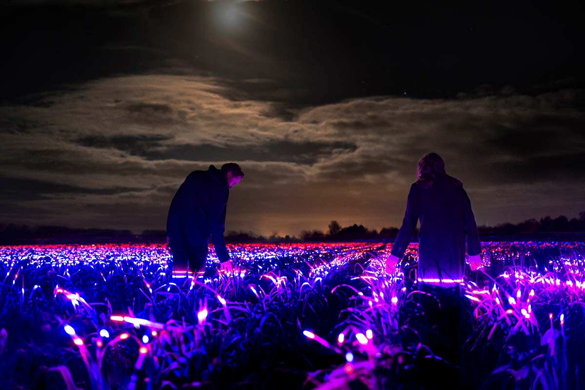 GROW by Daan Roosegaarde