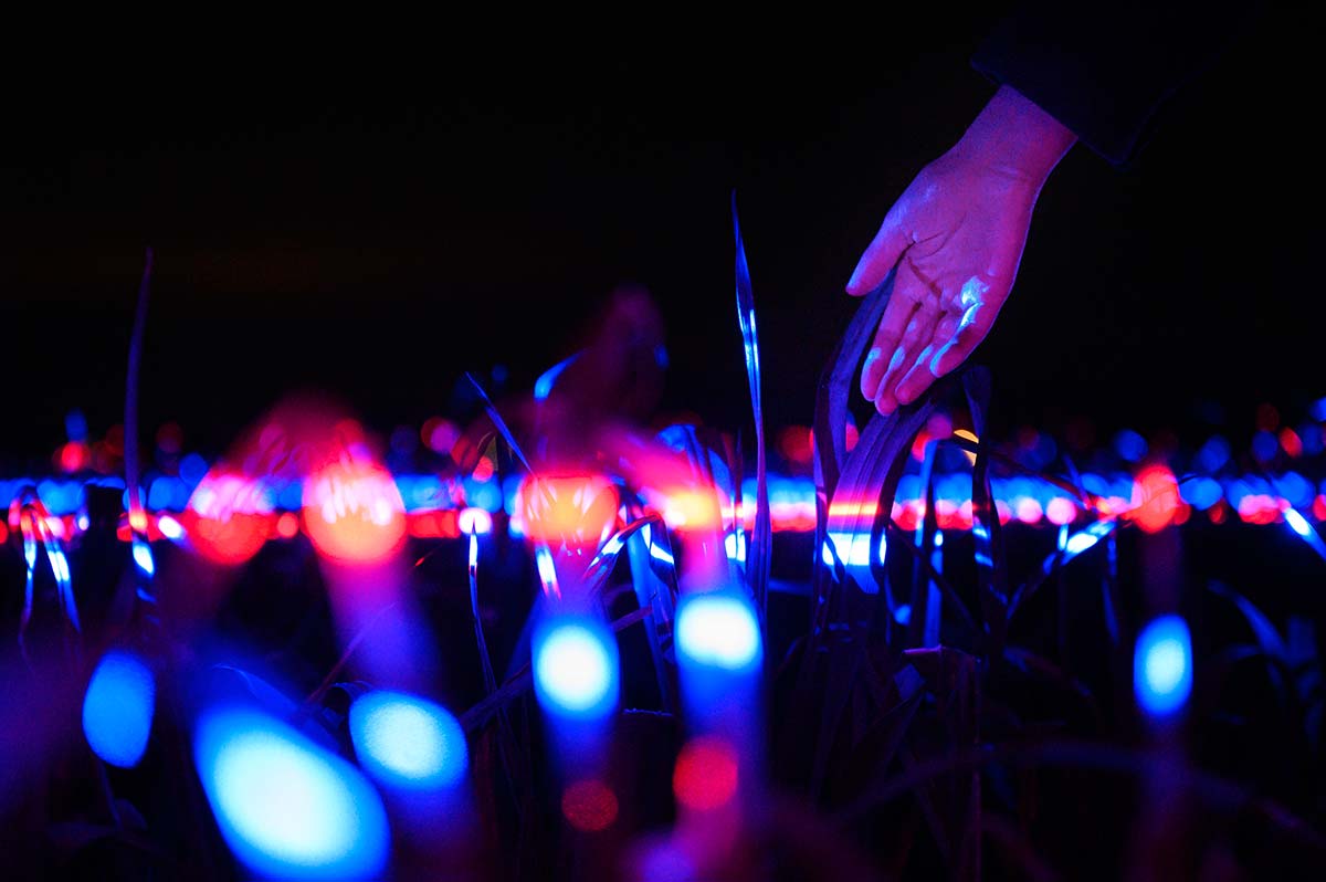 GROW by Daan Roosegaarde