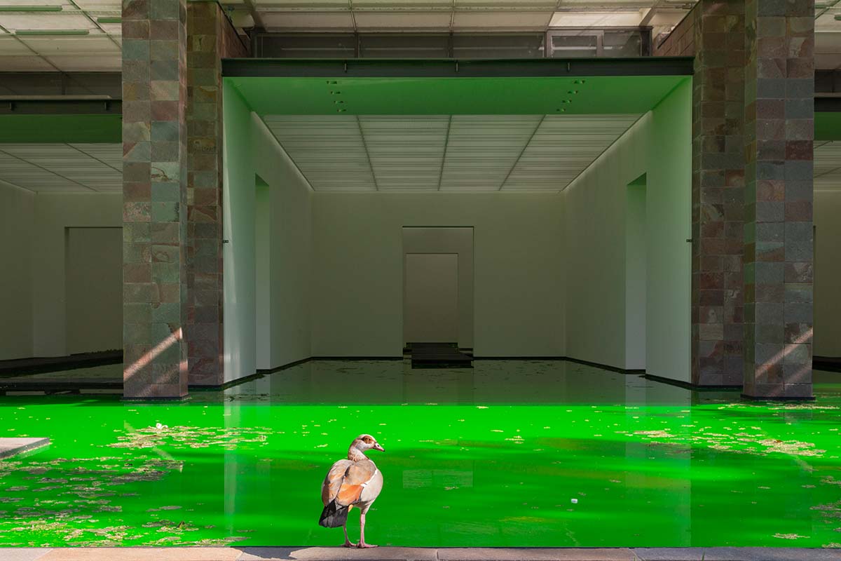 Life by Olafur Eliasson