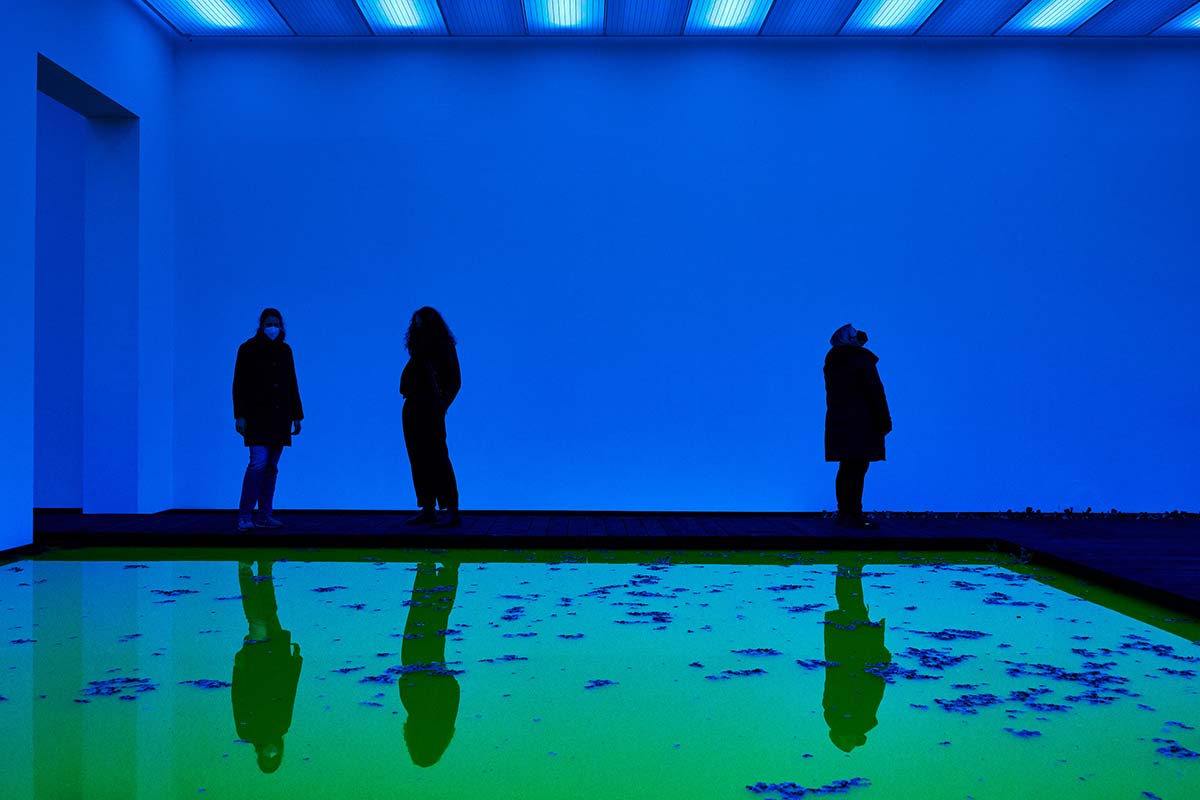 Life by Olafur Eliasson