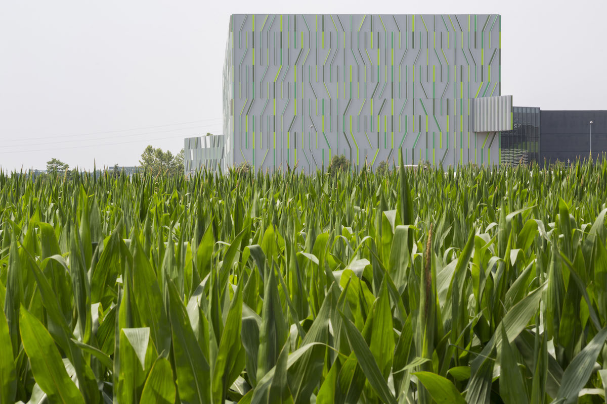 Pedrali ancora più ‘green’