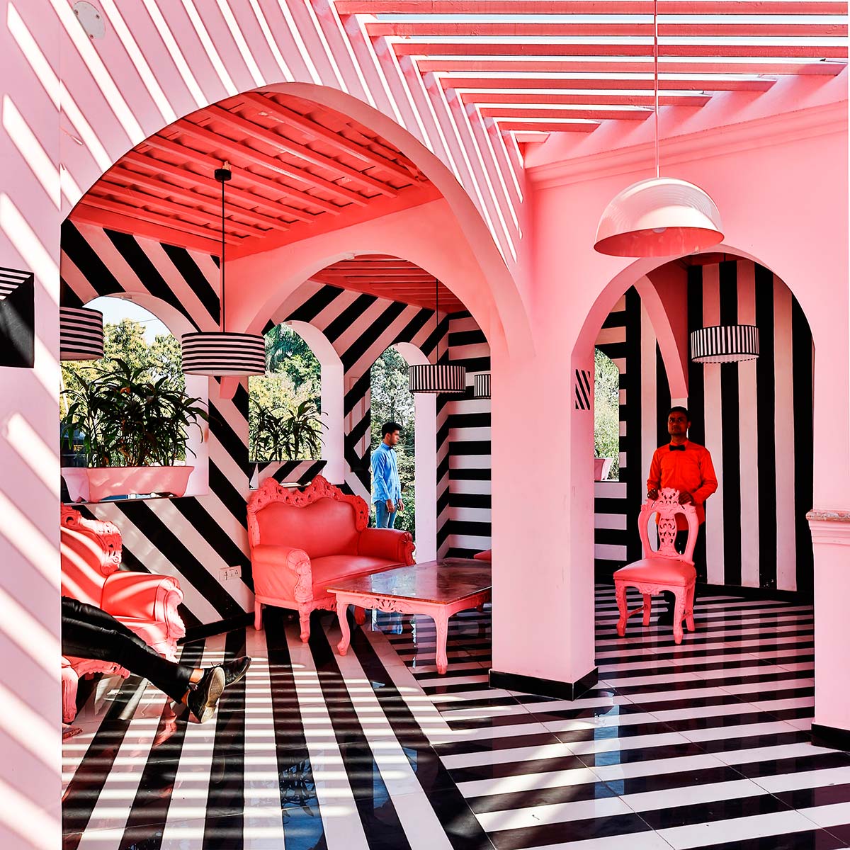 The Pink Zebra