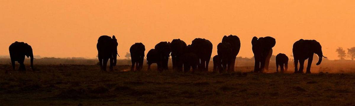 Al via la nuova rete di imprese in Africa Subsahariana