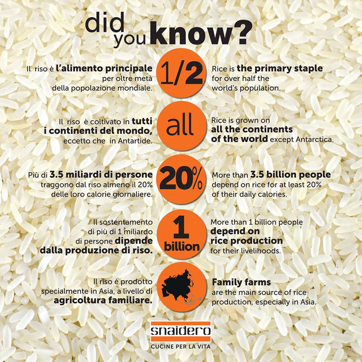 A Expo quattro progetti Snaidero per il padiglione Basmati