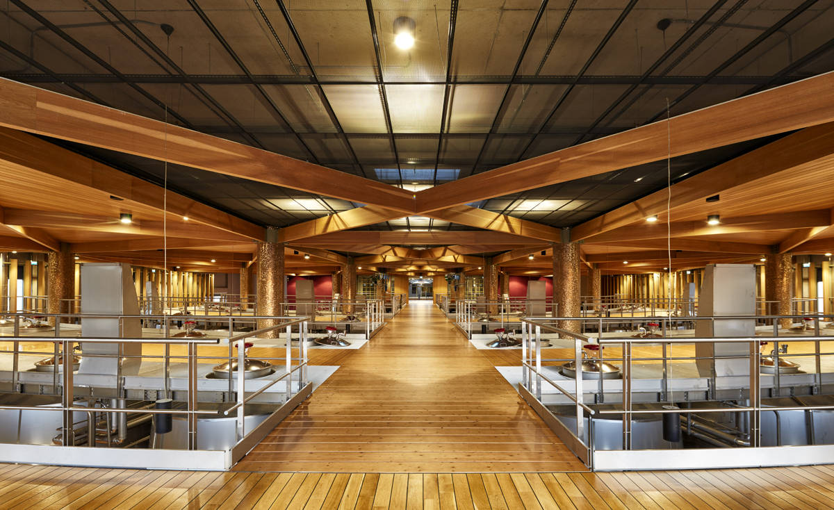 Un'innovativa 'wine tourism experience'