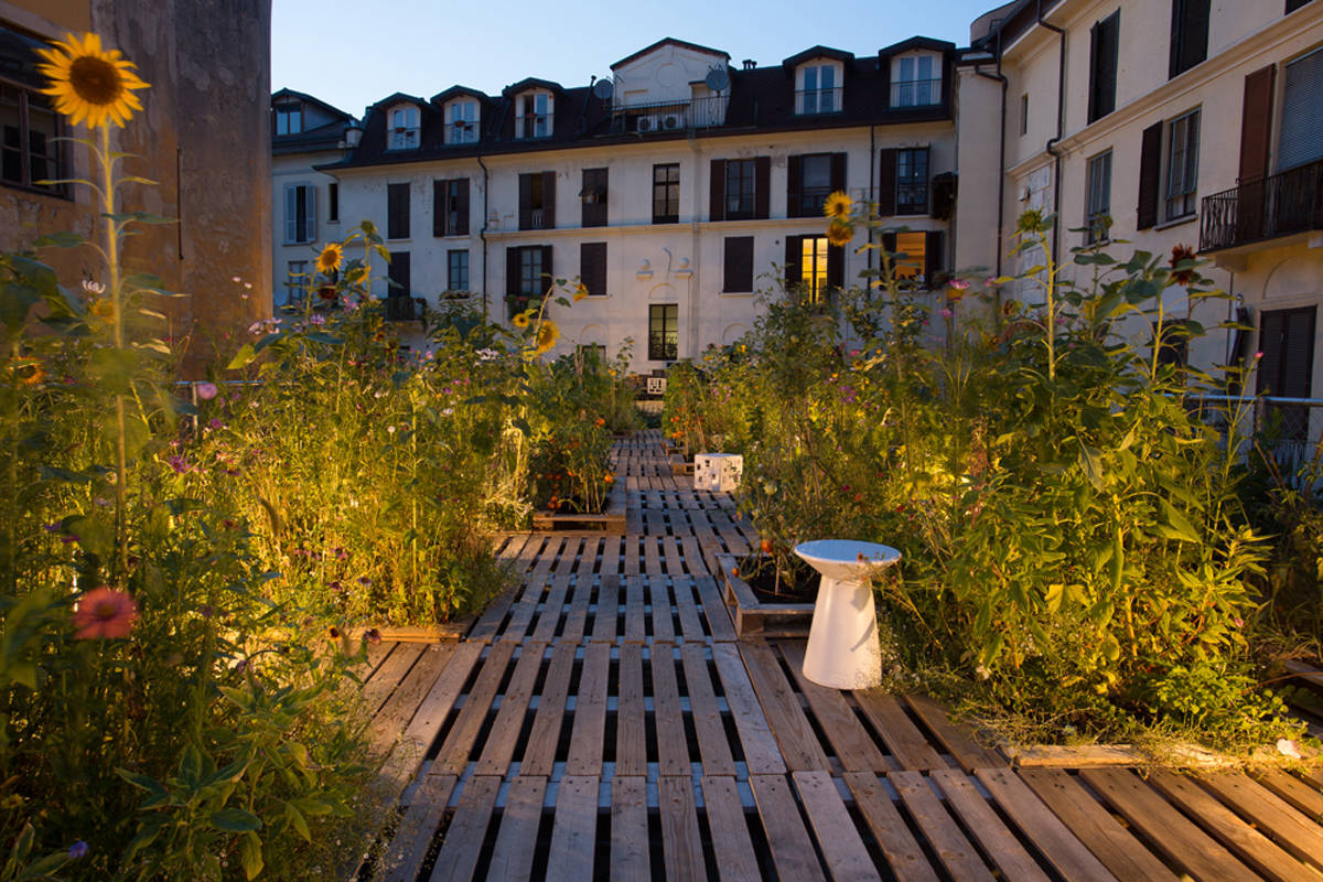 Urban farming tra Milano e Torino