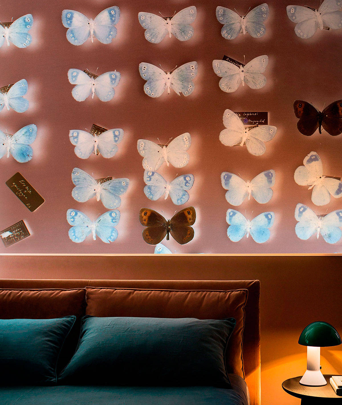 I mondi fantastici della nuova collezione Wall&decò