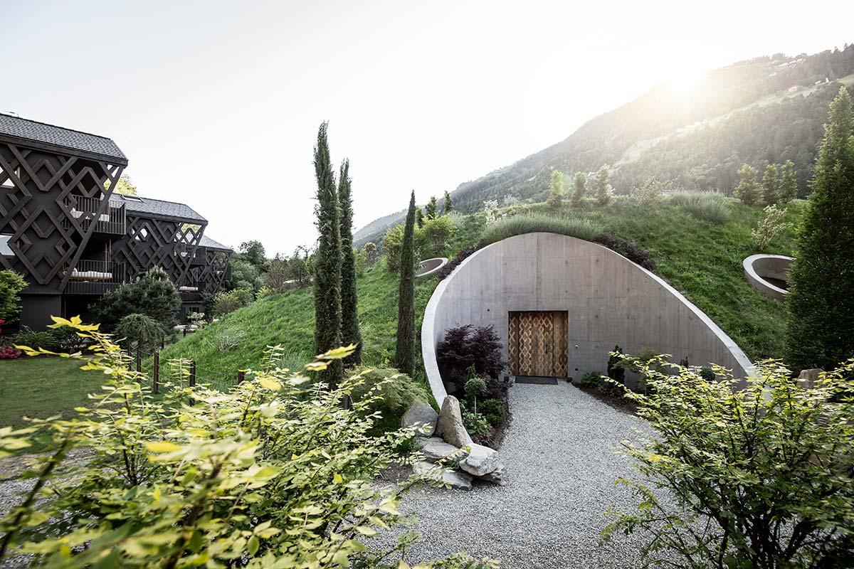 Le radici come rifugio