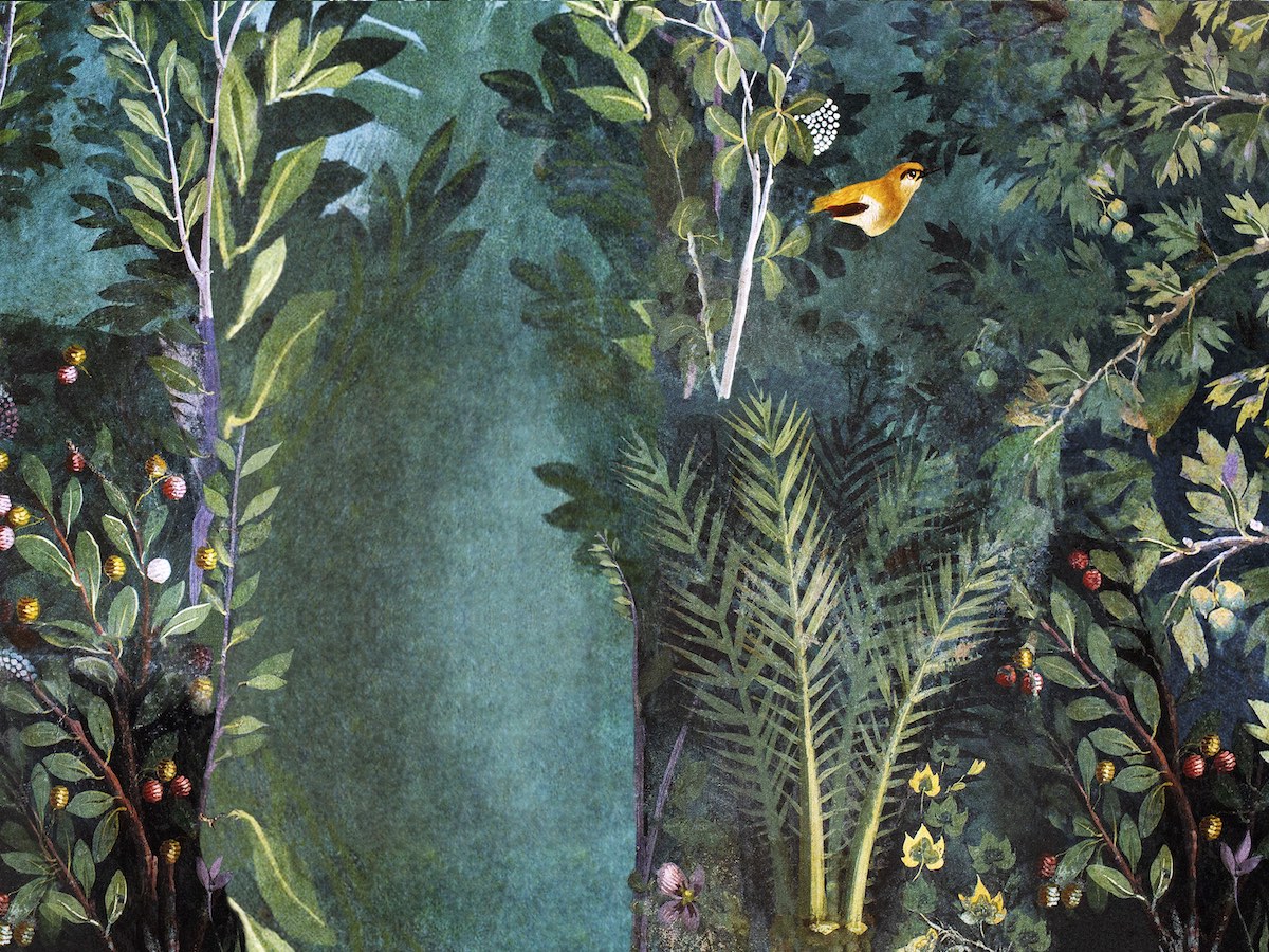 Design contemporaneo e natura: chiamata a raccolta di idee