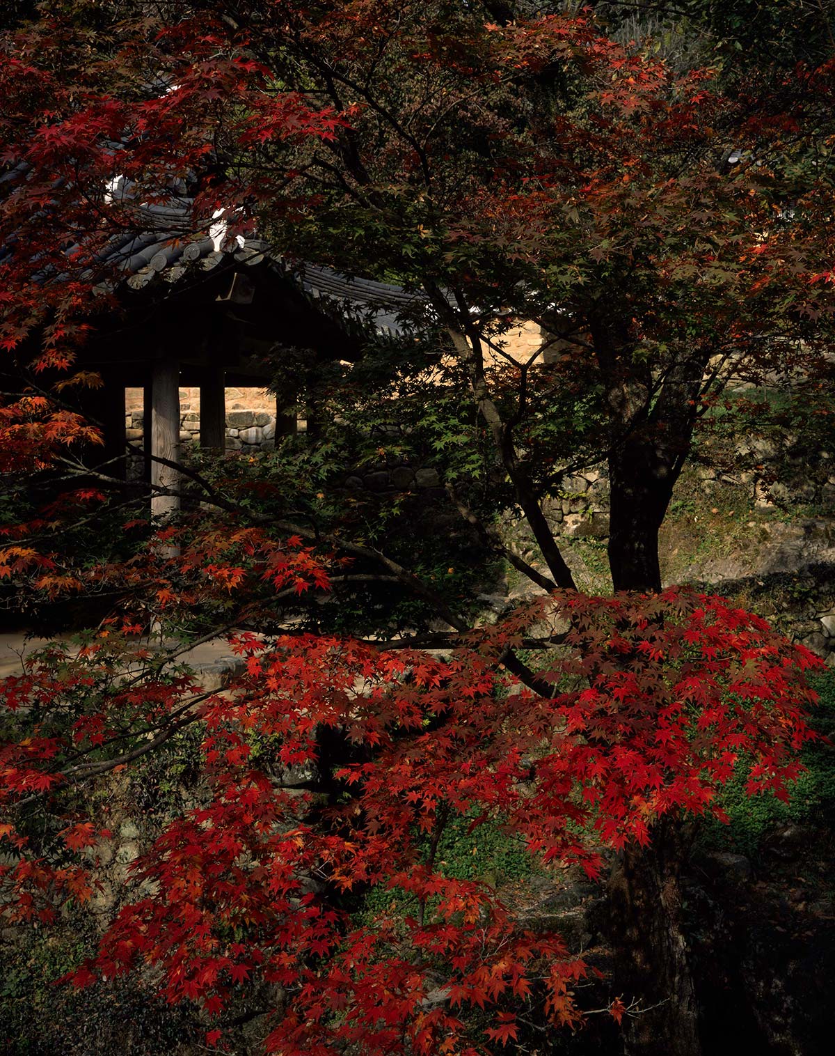 Soswaewon, Korea, 2019