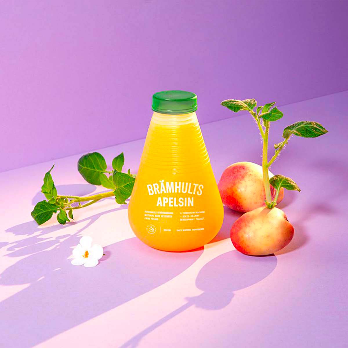 GoneShells by Tomorrow Machine Studio