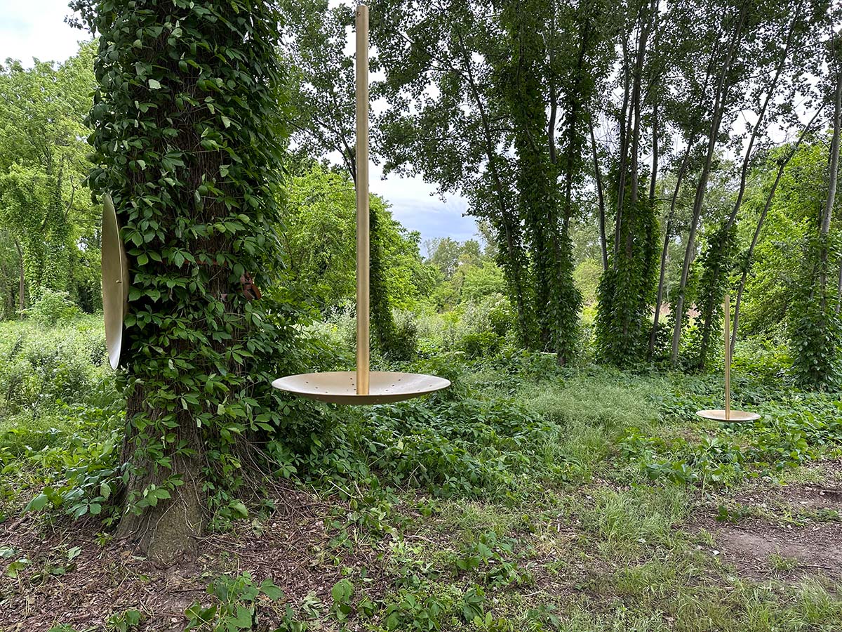 Populus Alba by Formafantasma, Emanuele Coccia & De Castelli @ BioGrounds - Certosa island, Venice, Italy - Photo © Emiliano Martina