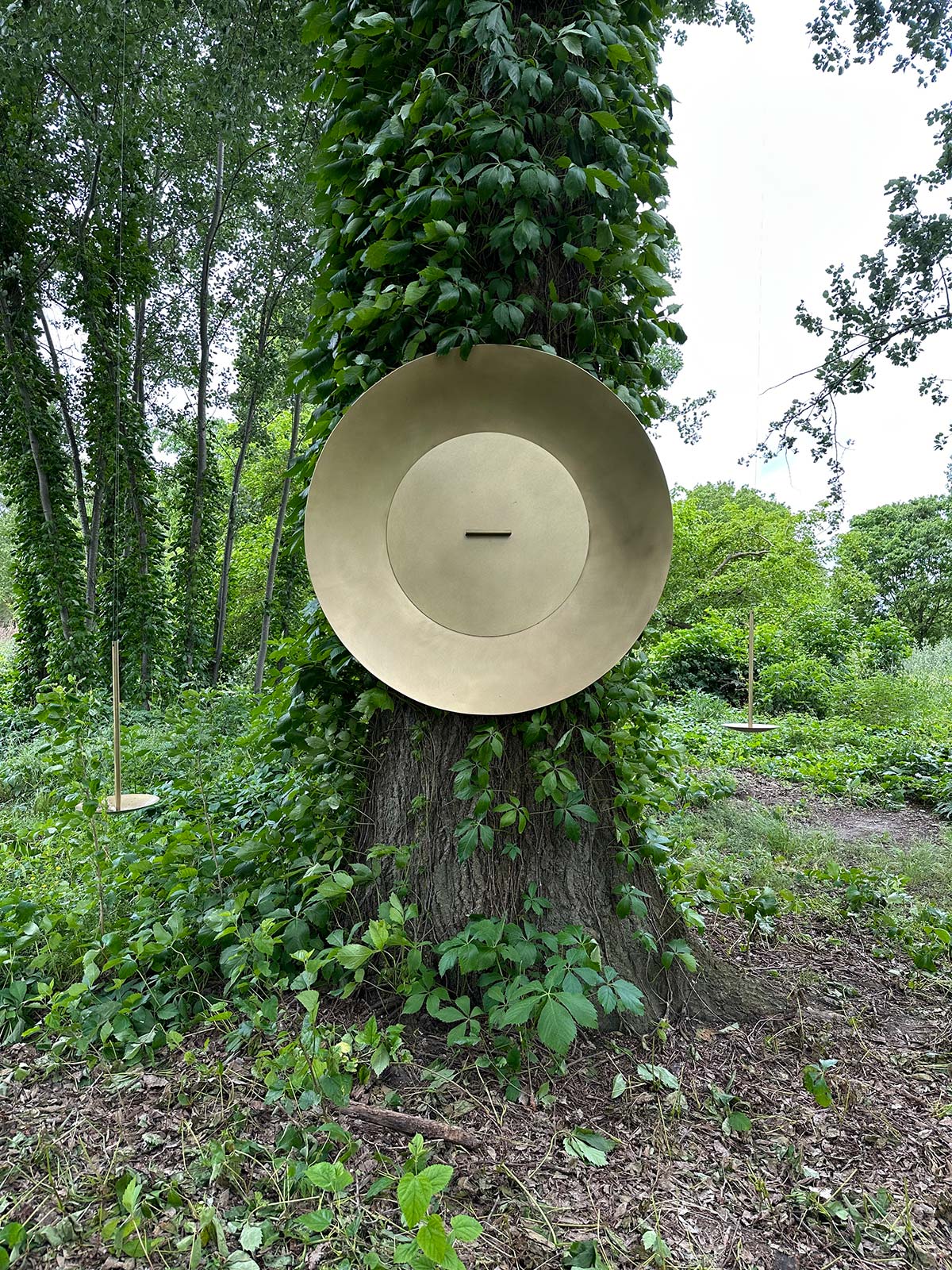 Populus Alba by Formafantasma, Emanuele Coccia & De Castelli @ BioGrounds - Certosa island, Venice, Italy - Photo © Emiliano Martina