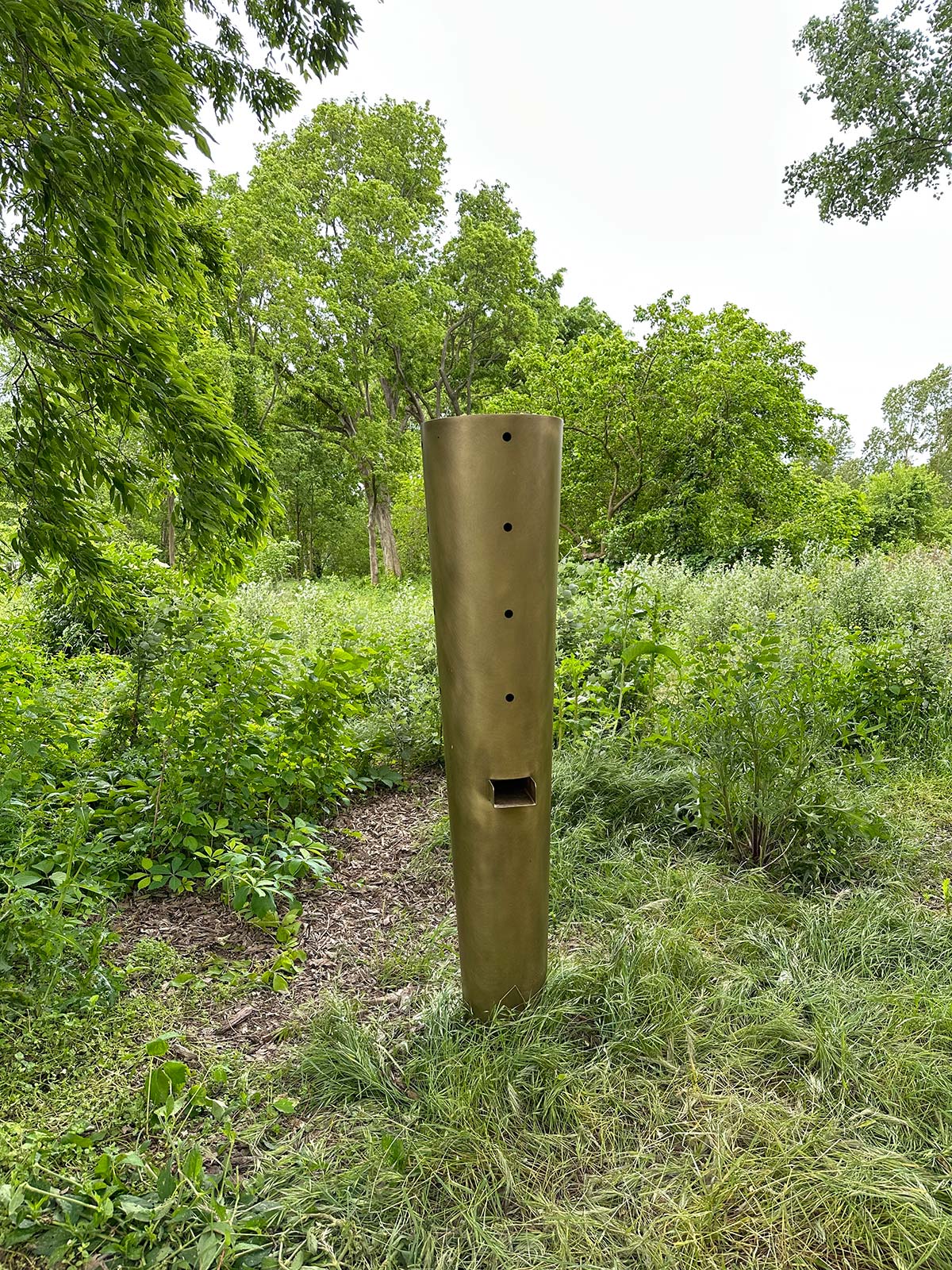 Populus Alba by Formafantasma, Emanuele Coccia & De Castelli @ BioGrounds - Certosa island, Venice, Italy - Photo © Emiliano Martina