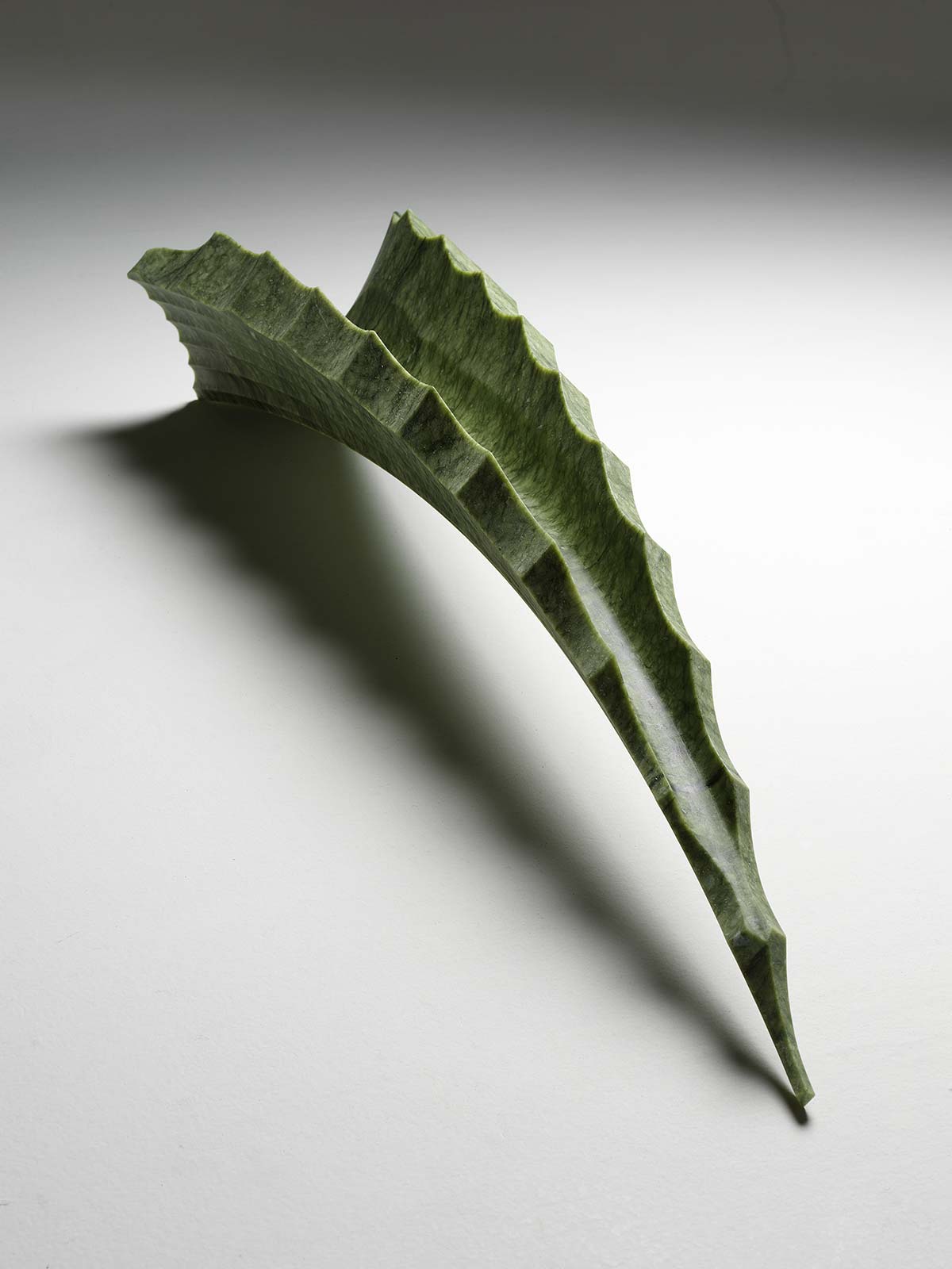 Aloacea, Herbarium Mirabile by Raffaello Galiotto