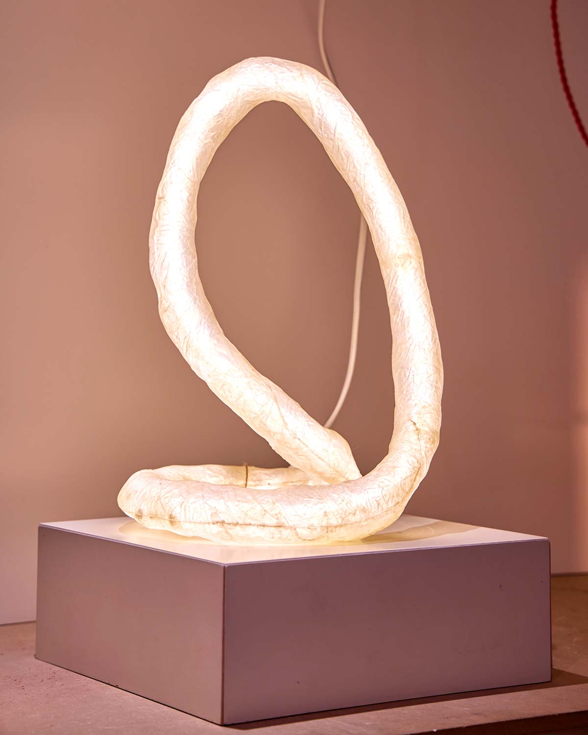 Infinity, Infinighty collection by Andreína Raventós