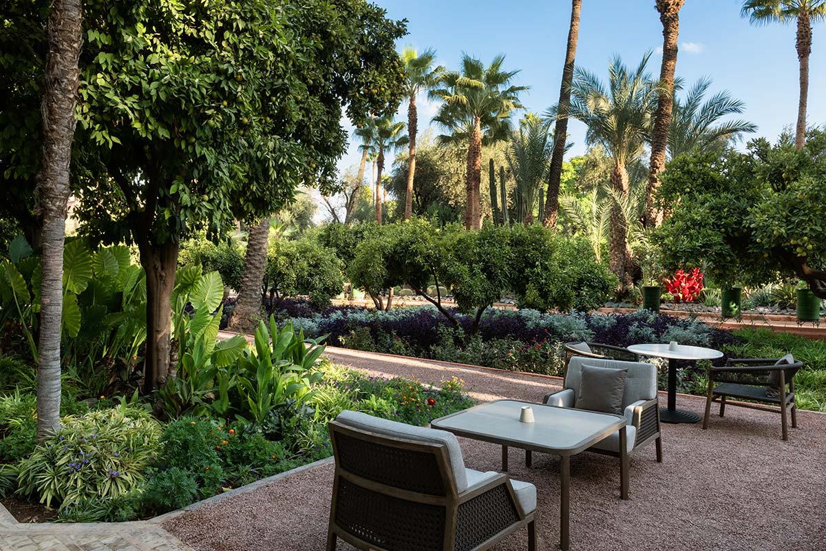 Fra i “giardini segreti” di Marrakech