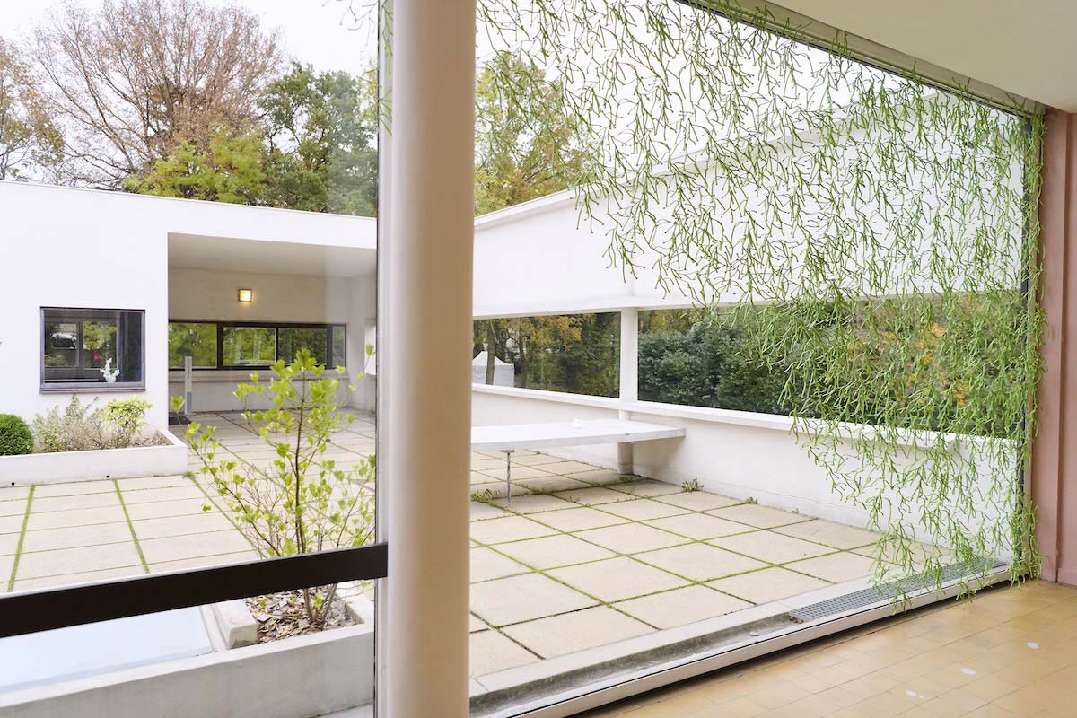Algue, design Ronan e Erwan Bouroullec