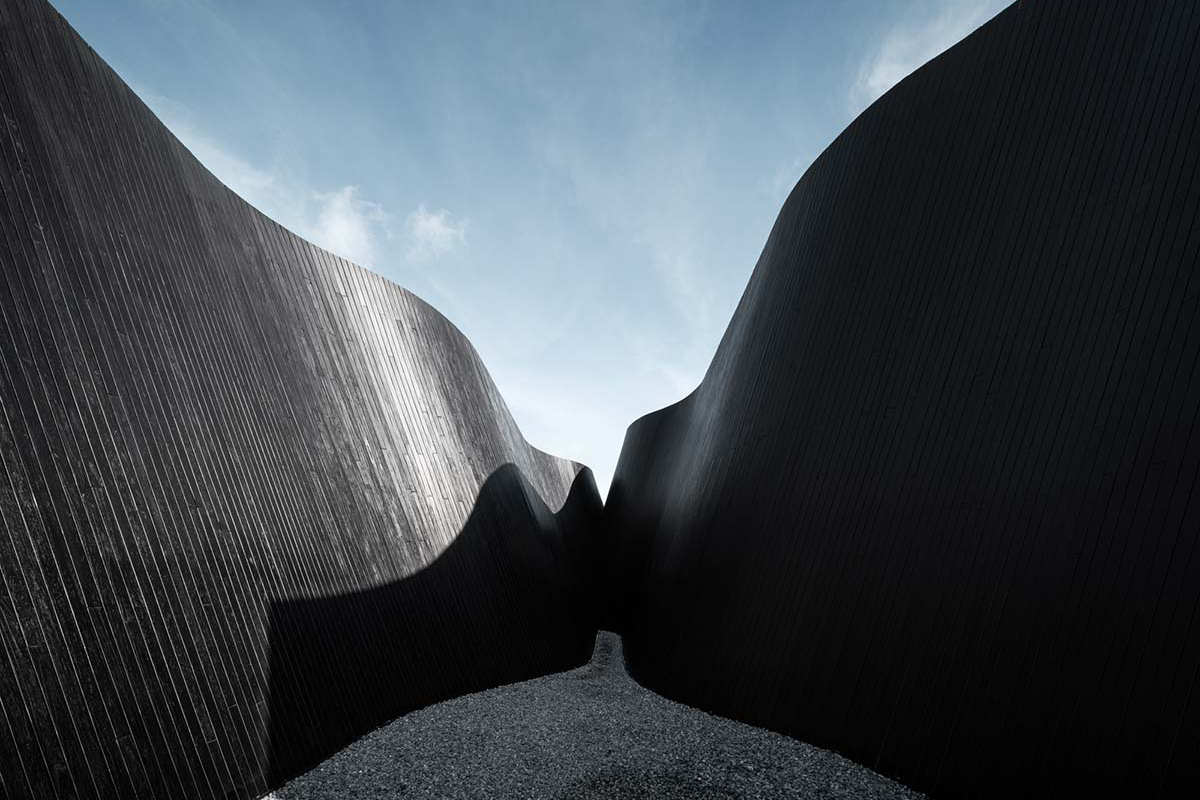 Il seme dell’architettura