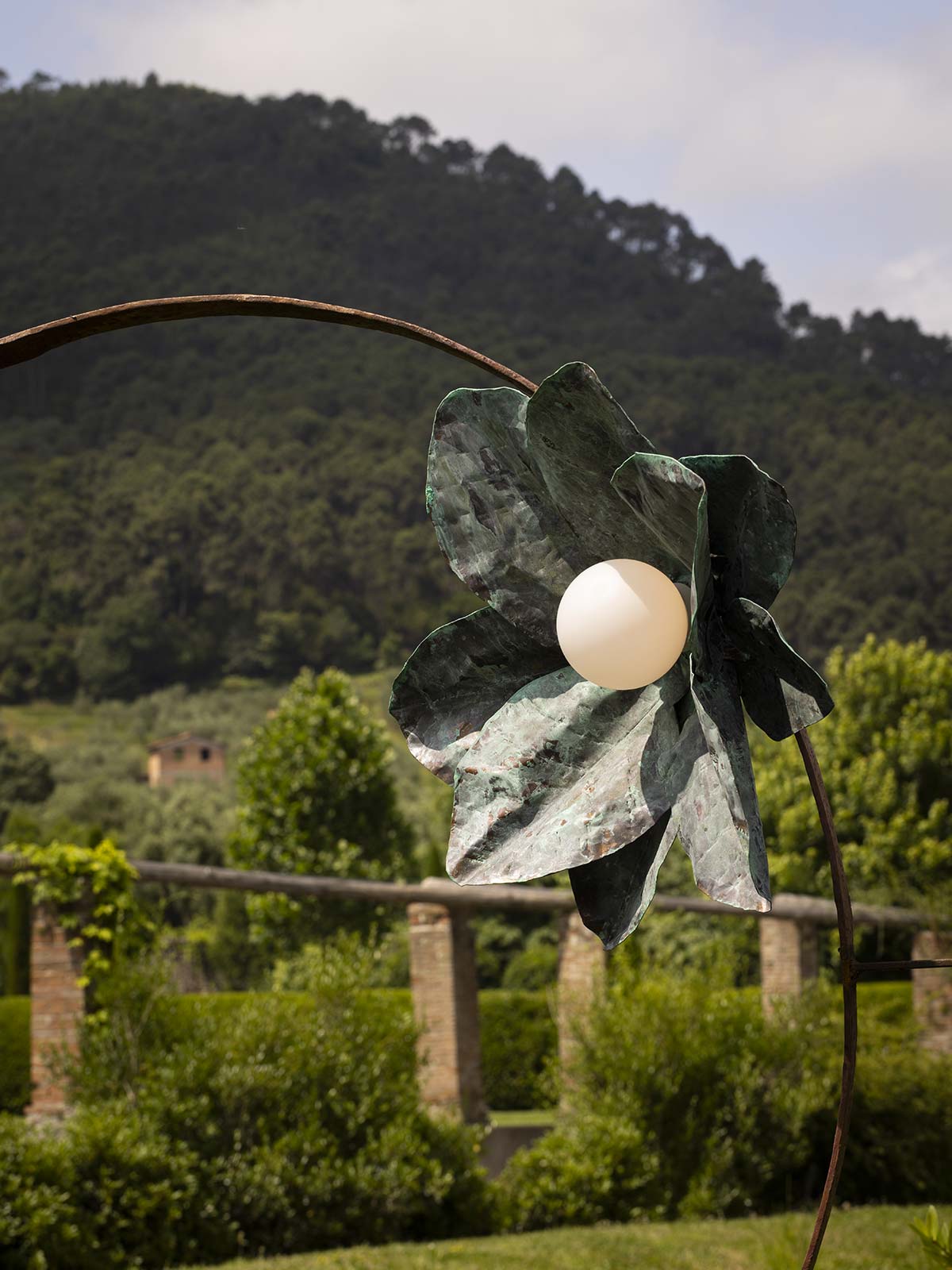 Camelia, design Jonathan Bocca