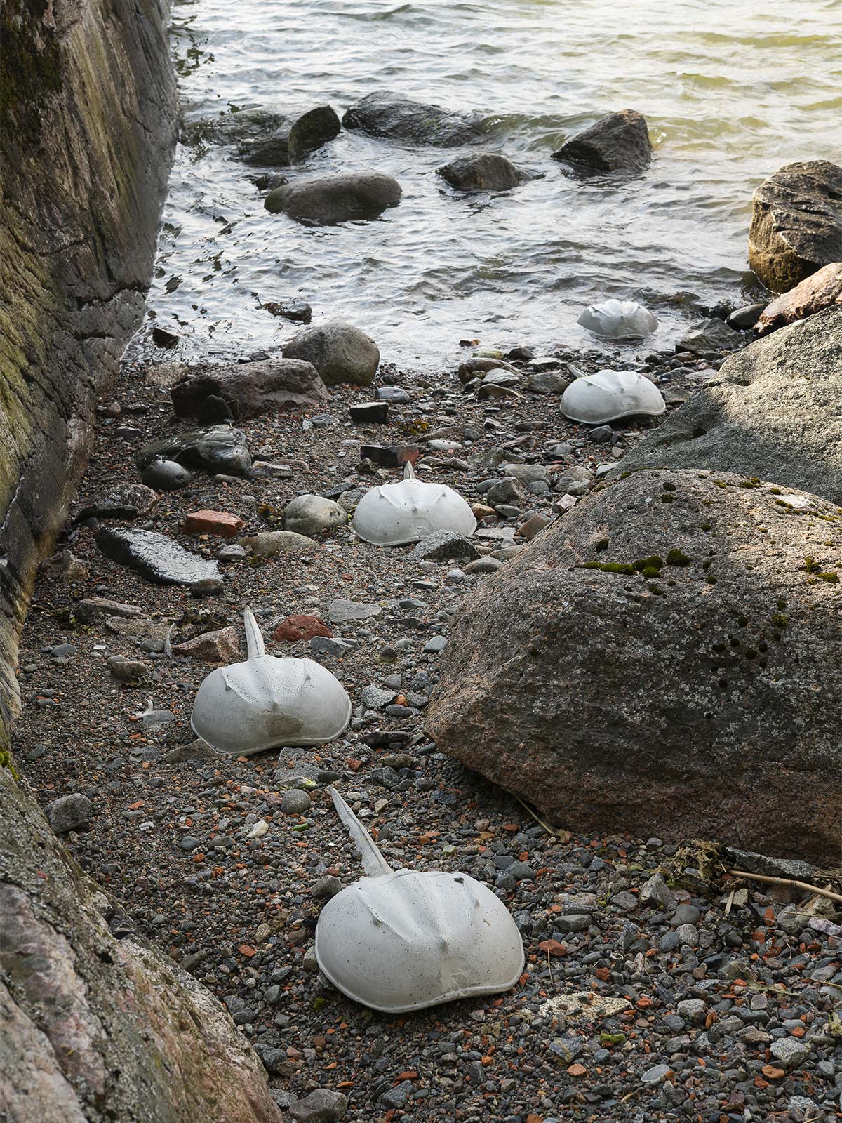 Limulus Polyphemus, design Tue Greenfort - Courtesy of König Galerie