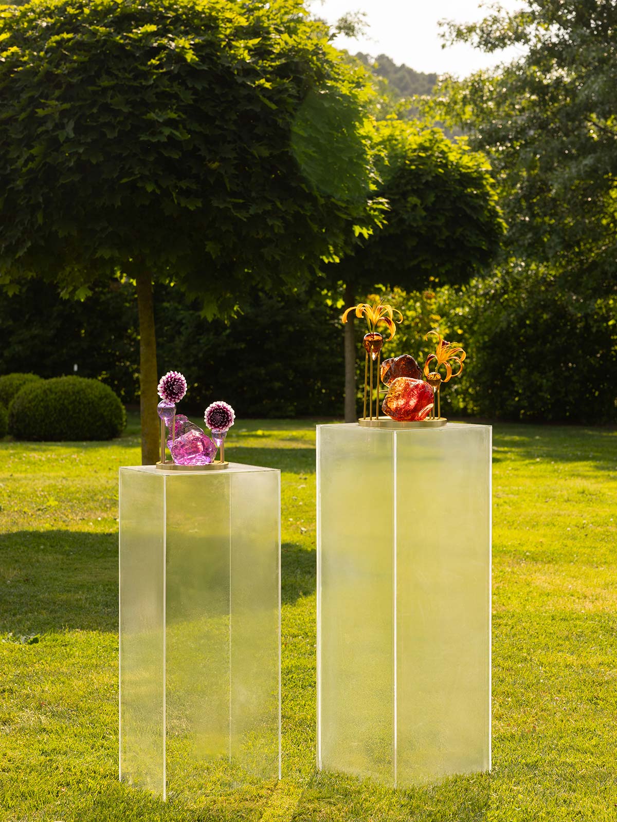 Metamorfosi, design Sara Ricciardi Studio