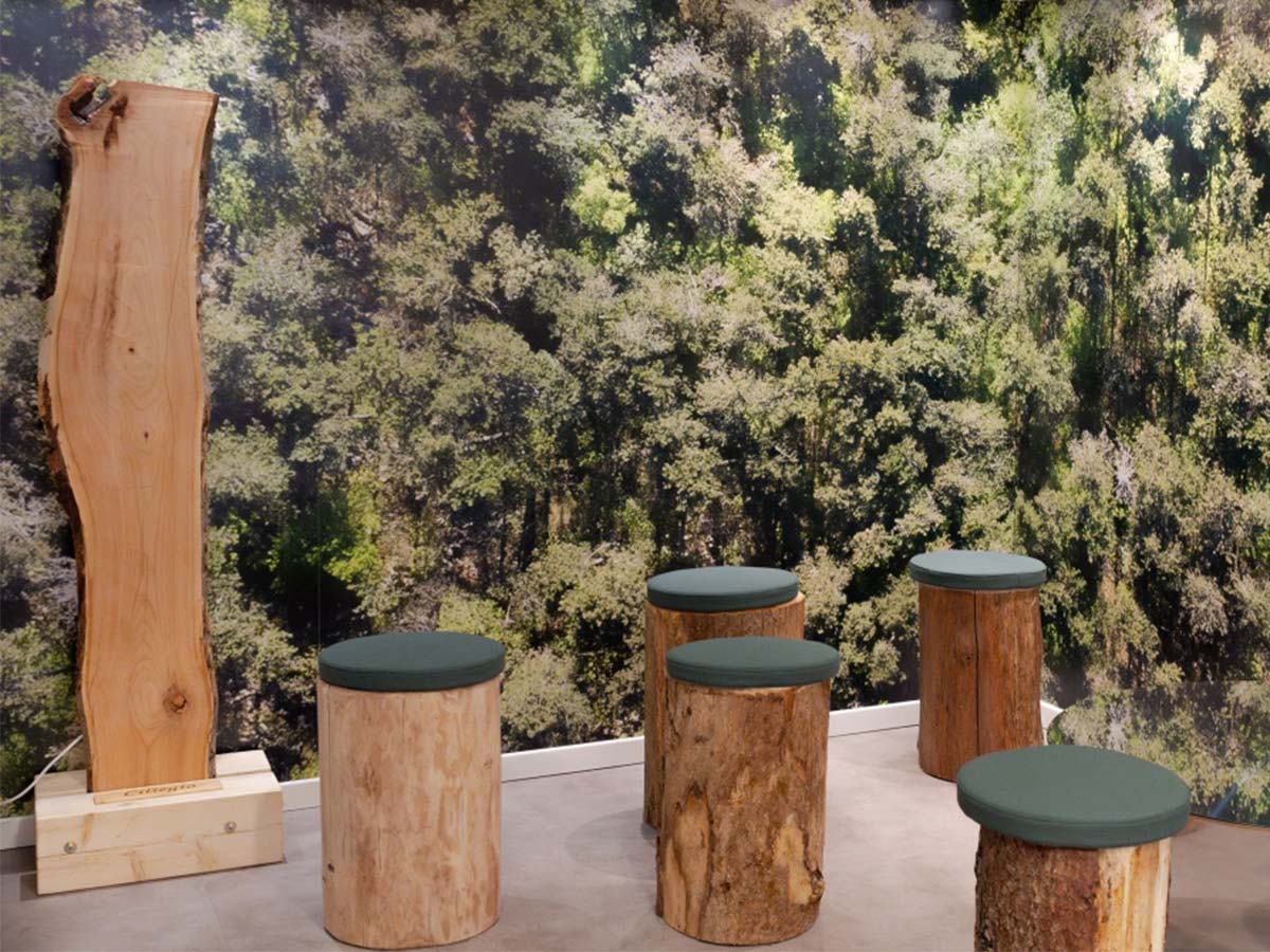 Foresta in Città: il nuovo cuore verde di Trieste
