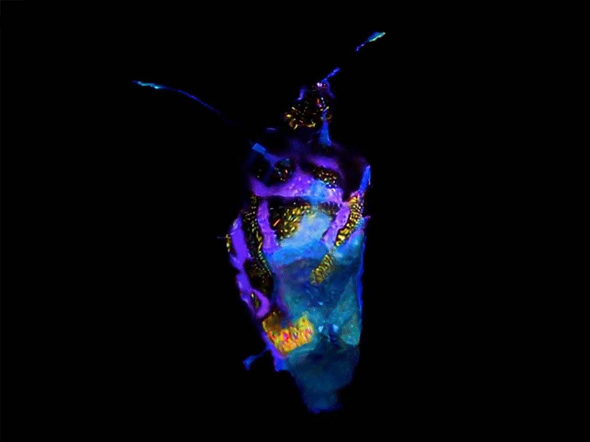 Data Bugs, AI is a mirror, Dotdotdot, Fuorisalone 2024
